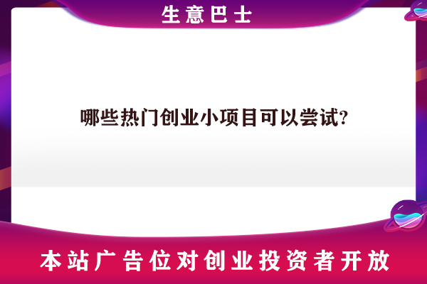 创业小项目