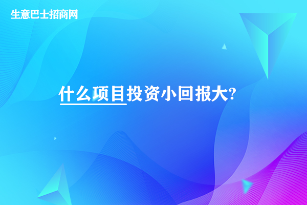 什么投资小回报大的项目?