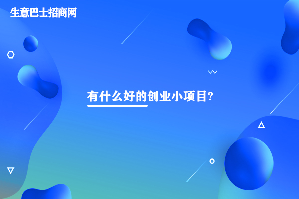 创业小项目